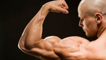 4 Exercises To Get Big Biceps