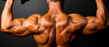 10 Best Muscle-Building Back Workouts