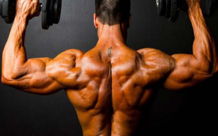 10 Best Muscle-Building Back Workouts